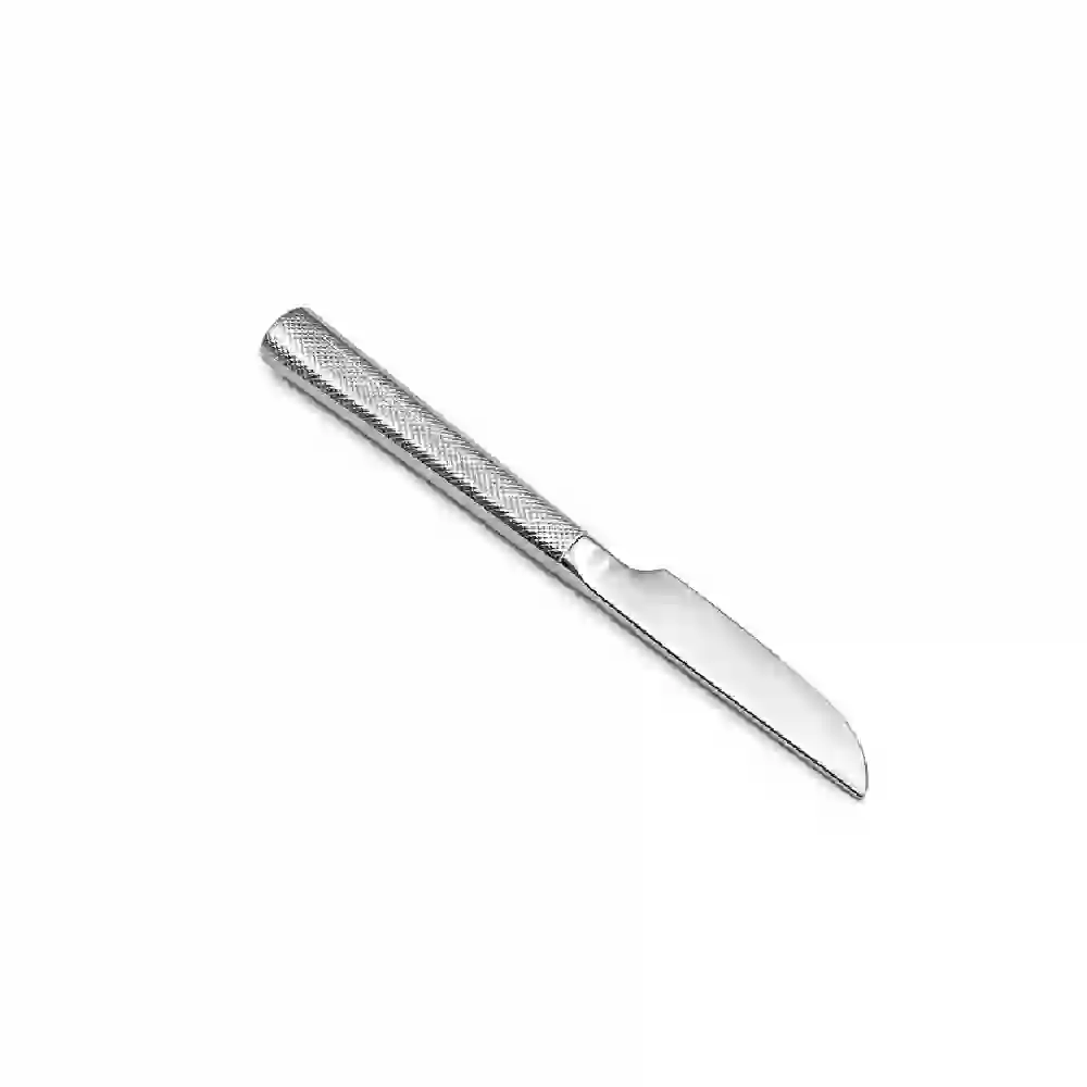 Zolten Echo Dishwasher-Safe Stainless Steel Fruit Knife Set 2-Piece - ZL0714533