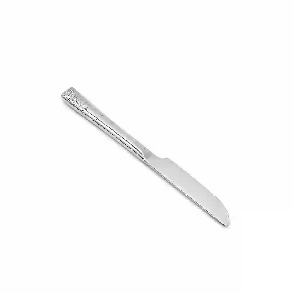 Zolten Aero Dishwasher-Safe Stainless Steel Fruit Knife Set 2-Piece - ZL0714524