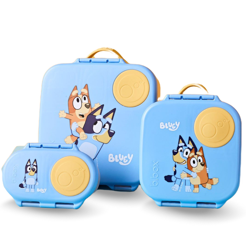 School Lunch Box