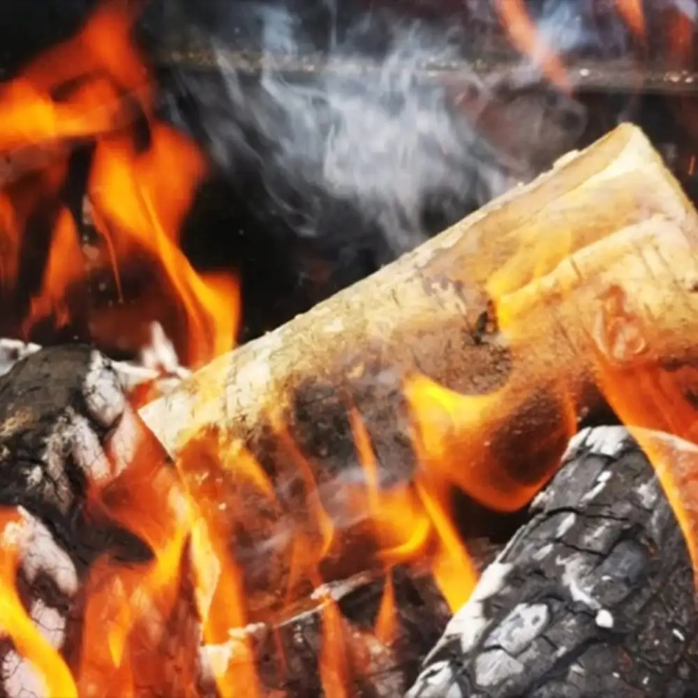 Bad Axe Birch Firewood 21L Bag, Premium Seasoned Birch Logs, Dense Clean-Burning Hardwood, Ready to Use for Fireplace & Outdoor Fire Pit - BRCH21L - Image 3