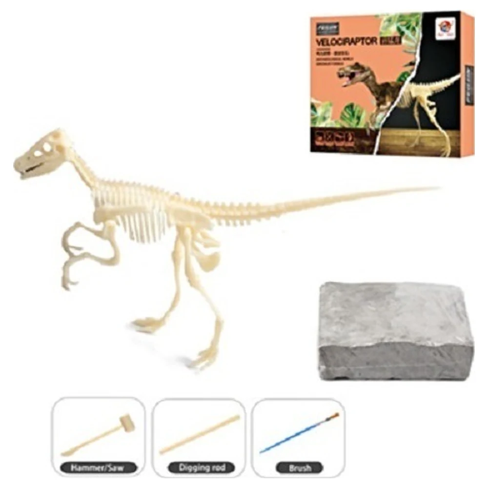 Feilun STEAM Velociraptor Dinosaur Fossil Excavation Kit, Archaeological World DIY Dig and Assemble Skeleton with Chisel, Brush and Hammer, Ages 8+ - Image 5