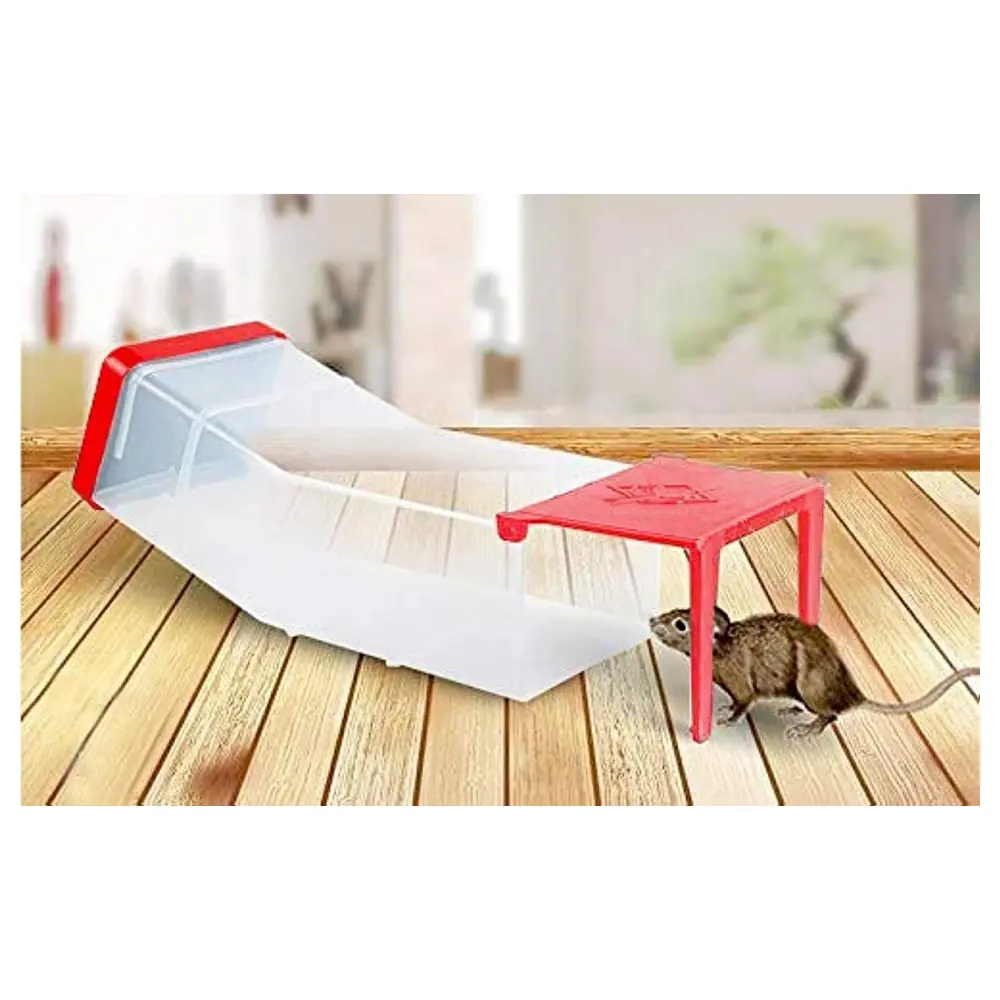 GulfDealz Humane Live Catch Mouse and Rat Trap, Reusable Clear Tunnel Catch and Release Rodent Trap with Removable Washable End, Red - Image 2