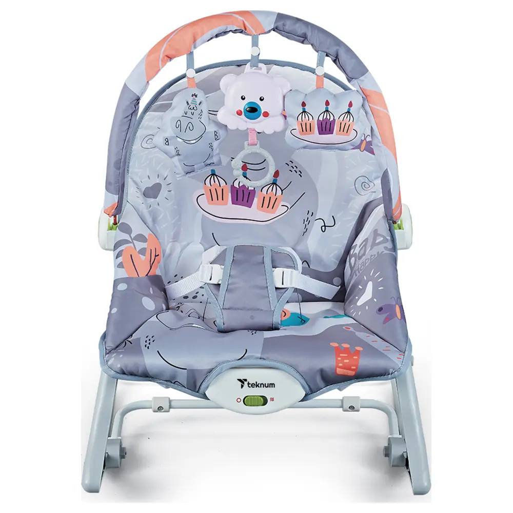 Teknum 3-in-1 Baby Rocker, Seat and Recliner with Soothing Music and Vibration, Removable Toy Bar, 3-Point Harness, Up to 18kg, Party Grey - TK_3IN1RKWM_GY - Image 2