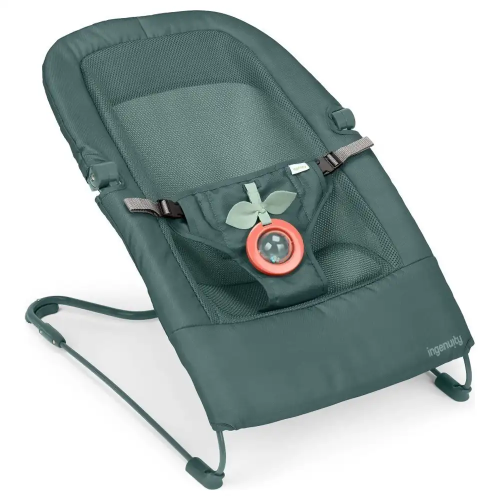 Ingenuity Stow & Go Compact Folding Baby Bouncer with CalmTouch Vibe-Pod, Carry Bag and Removable Rattle, Green, 0-6 Months - 17681-040
